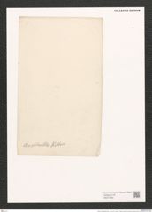 Nitzschia brightwellii Kitton. (de-Toni-Nr.: Genus 47, Species 2038) Zeichnungen Sammlung Grunow (NHMW-BOT-W0371833)